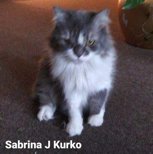 Meet your Posher, Sabrina